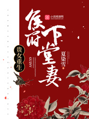 小说沈清辞洛衡虑